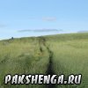 pakshenga_2011_5_ 